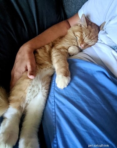 18 Heartwarming Pet Photos Guaranteed to Brighten Your Day