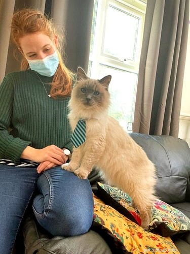 18 Heartwarming Pet Photos Guaranteed to Brighten Your Day