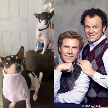 18 Heartwarming Pet Photos Guaranteed to Brighten Your Day
