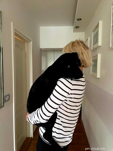 18 Heartwarming Pet Photos Guaranteed to Brighten Your Day