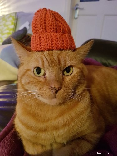 18 Heartwarming Pet Photos Guaranteed to Brighten Your Day