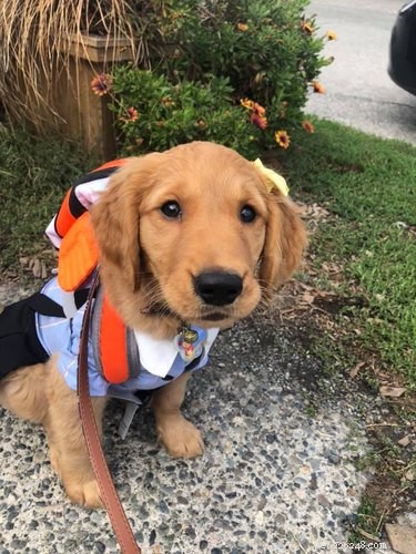 18 Inspiring Pet Stories Guaranteed to Warm Your Heart