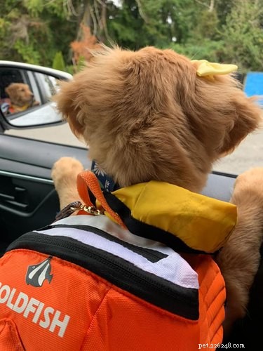 18 Inspiring Pet Stories Guaranteed to Warm Your Heart