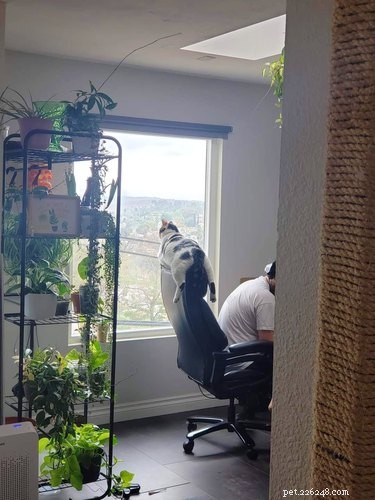 18 Inspiring Pet Stories Guaranteed to Warm Your Heart