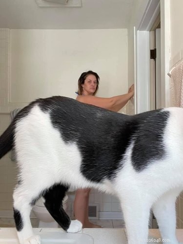 18 Inspiring Pet Stories Guaranteed to Warm Your Heart