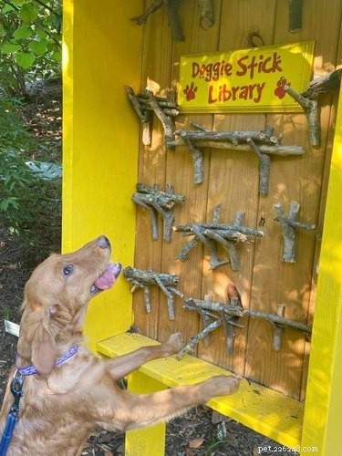 18 Inspiring Pet Stories Guaranteed to Warm Your Heart