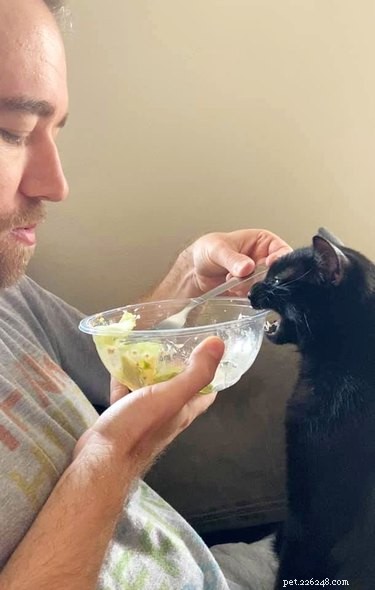18 Inspiring Pet Stories Guaranteed to Warm Your Heart