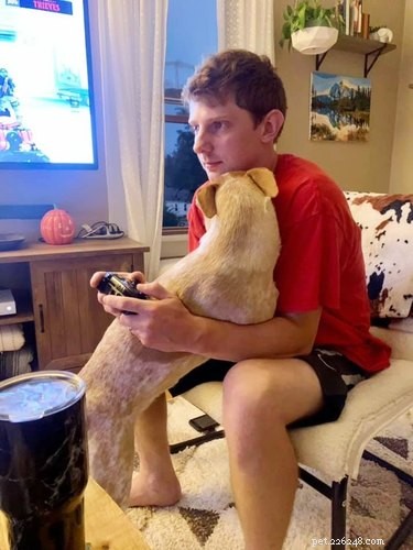 18 Inspiring Pet Stories Guaranteed to Warm Your Heart