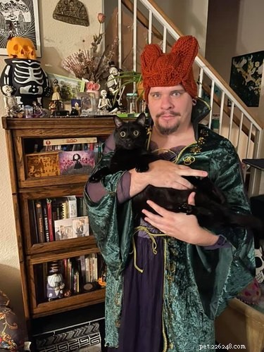 20 Black Cats Preparing for Halloween: A Spooky Season Preview