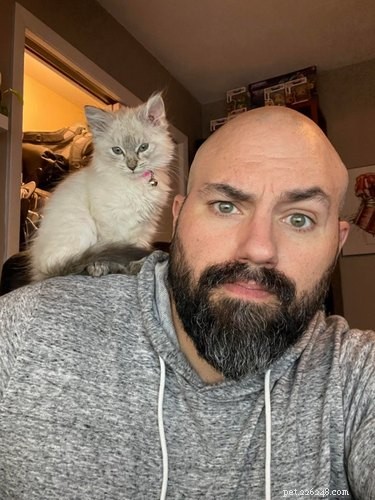 18 Hilarious Pet Photos That Will Brighten Your Day