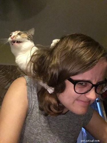 23 Hilariously Blurry Cat Photos That Will Keep You Laughing