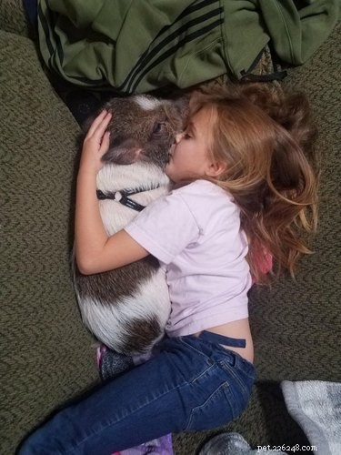 16 Pets Ready for a Warm, Cozy Autumn