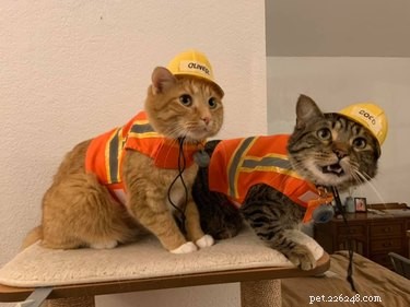 18 Adorable Pet Photos That Will Melt Your Heart