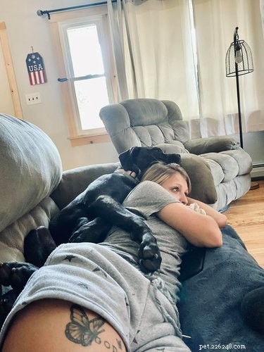 18 Adorable Pet Photos That Will Melt Your Heart