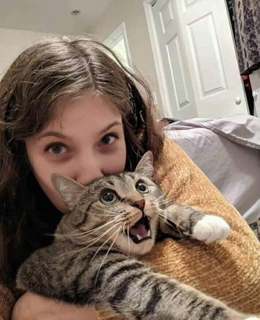 20 Adorable Cats Flaunting Their Tiny Teeth