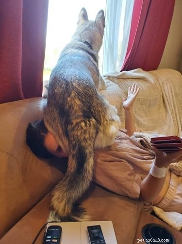 20 Heartwarming Animal Antics to Brighten Your Day
