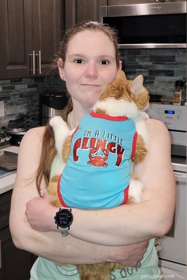 17 Heartwarming Cat Images That Will Instantly Lift Your Spirits