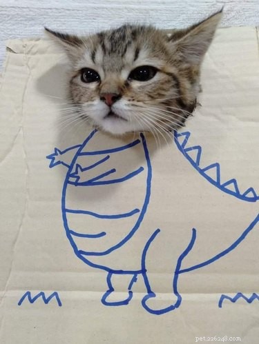17 Adorable Animals That Will Melt Your Heart