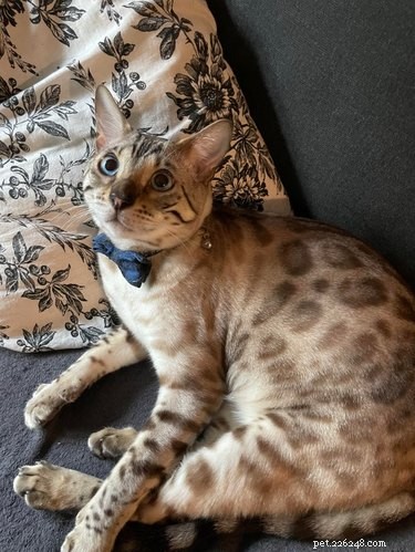 17 Adorable Animals That Will Melt Your Heart