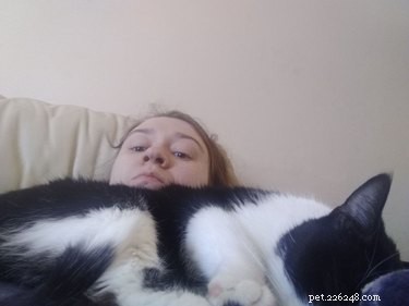 19 Ways Cats Can Steal Your Time (and How to Reclaim It)