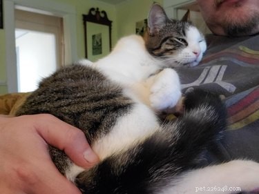 19 Ways Cats Can Steal Your Time (and How to Reclaim It)