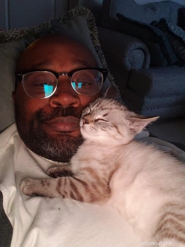 19 Ways Cats Can Steal Your Time (and How to Reclaim It)