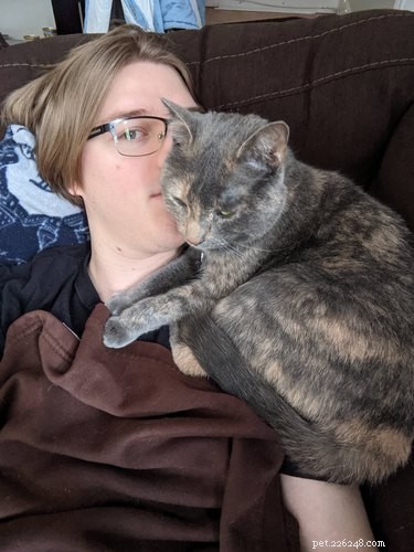 19 Ways Cats Can Steal Your Time (and How to Reclaim It)
