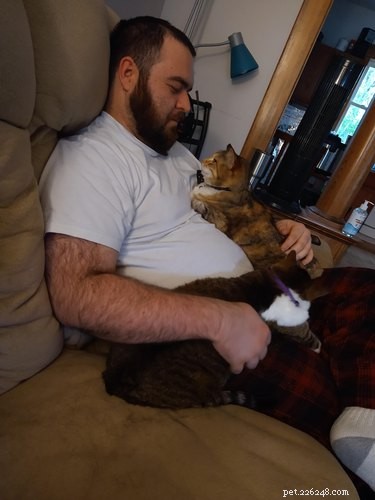 19 Ways Cats Can Steal Your Time (and How to Reclaim It)