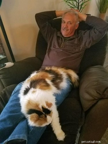 19 Ways Cats Can Steal Your Time (and How to Reclaim It)