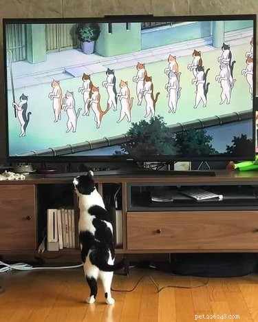 18 Adorable Pet Photos That Brighten Your Day