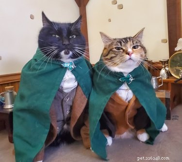 18 Adorable Pet Photos That Brighten Your Day