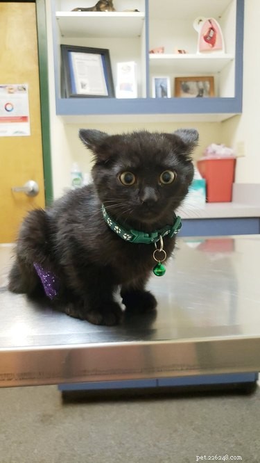 18 Adorable Pet Photos That Brighten Your Day