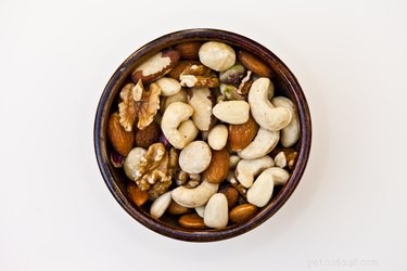 Safe Christmas Treats for Pets: What to Share and What to Keep