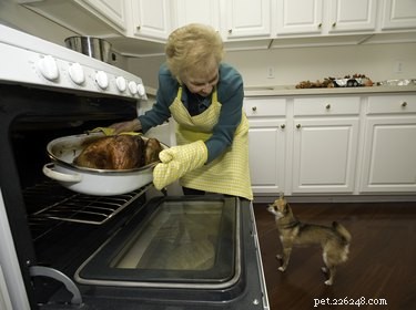 Safe Christmas Treats for Pets: What to Share and What to Keep