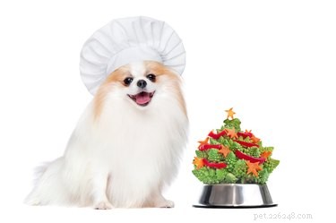 Safe Christmas Treats for Pets: What to Share and What to Keep
