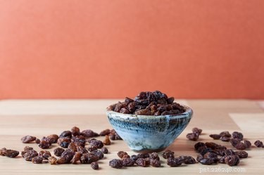 Safe Christmas Treats for Pets: What to Share and What to Keep