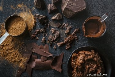 Safe Christmas Treats for Pets: What to Share and What to Keep