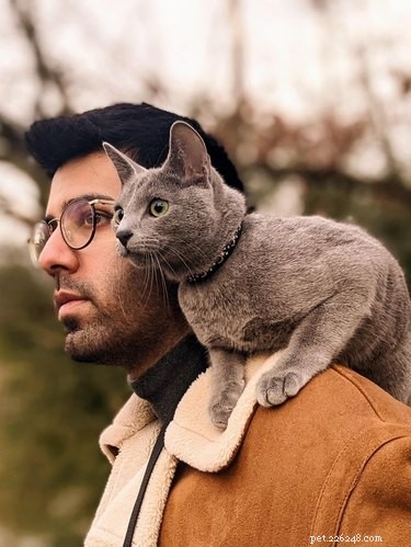 19 Adorable Shoulder‑Pet Photos Trending Online