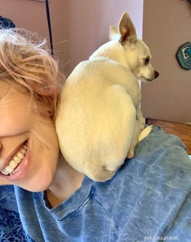 19 Adorable Shoulder‑Pet Photos Trending Online