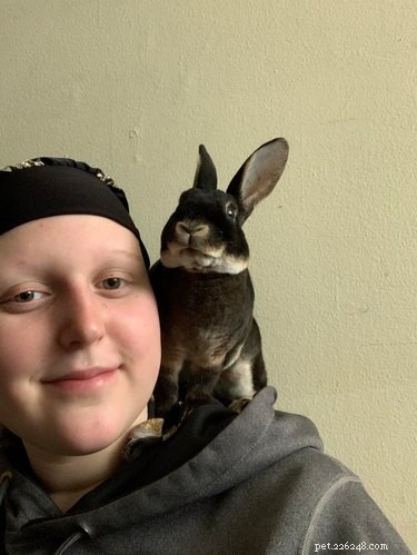 19 Adorable Shoulder‑Pet Photos Trending Online