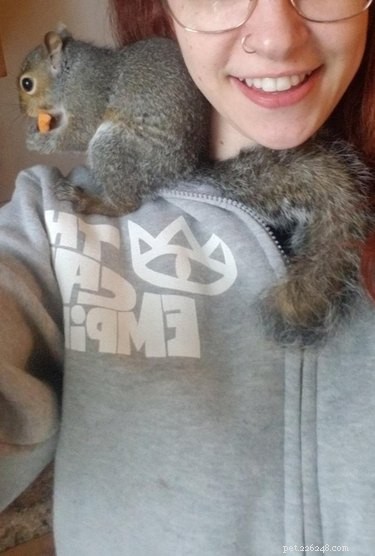 19 Adorable Shoulder‑Pet Photos Trending Online
