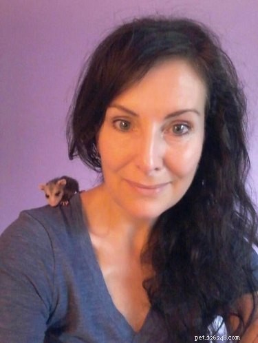 19 Adorable Shoulder‑Pet Photos Trending Online
