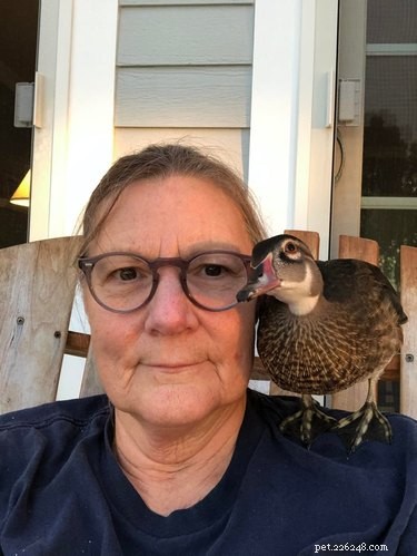 19 Adorable Shoulder‑Pet Photos Trending Online