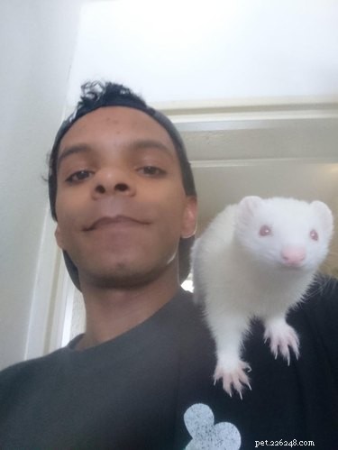 19 Adorable Shoulder‑Pet Photos Trending Online