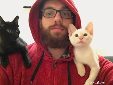 19 Adorable Shoulder‑Pet Photos Trending Online