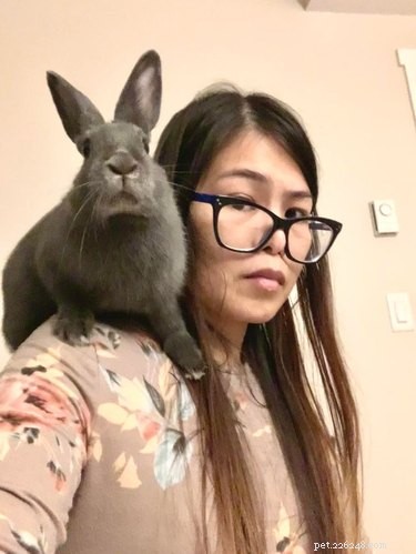 19 Adorable Shoulder‑Pet Photos Trending Online