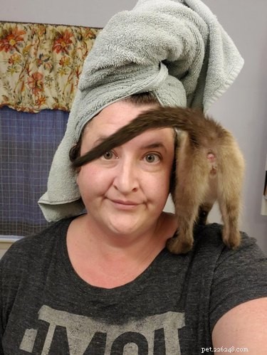 19 Adorable Shoulder‑Pet Photos Trending Online