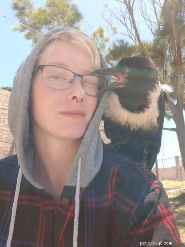 19 Adorable Shoulder‑Pet Photos Trending Online