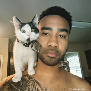 19 Adorable Shoulder‑Pet Photos Trending Online