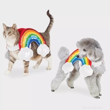 8 Winning Pet Costumes for an Unforgettable Halloween